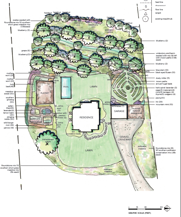 A Home-Scale Food Forest | Shades of Green Blog