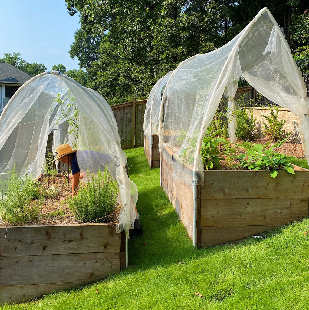 5 Methods for Growing a Vegetable Garden at Home