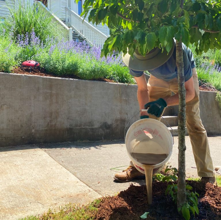 How to Make and Use Compost Tea at Home Shades of Green Blog