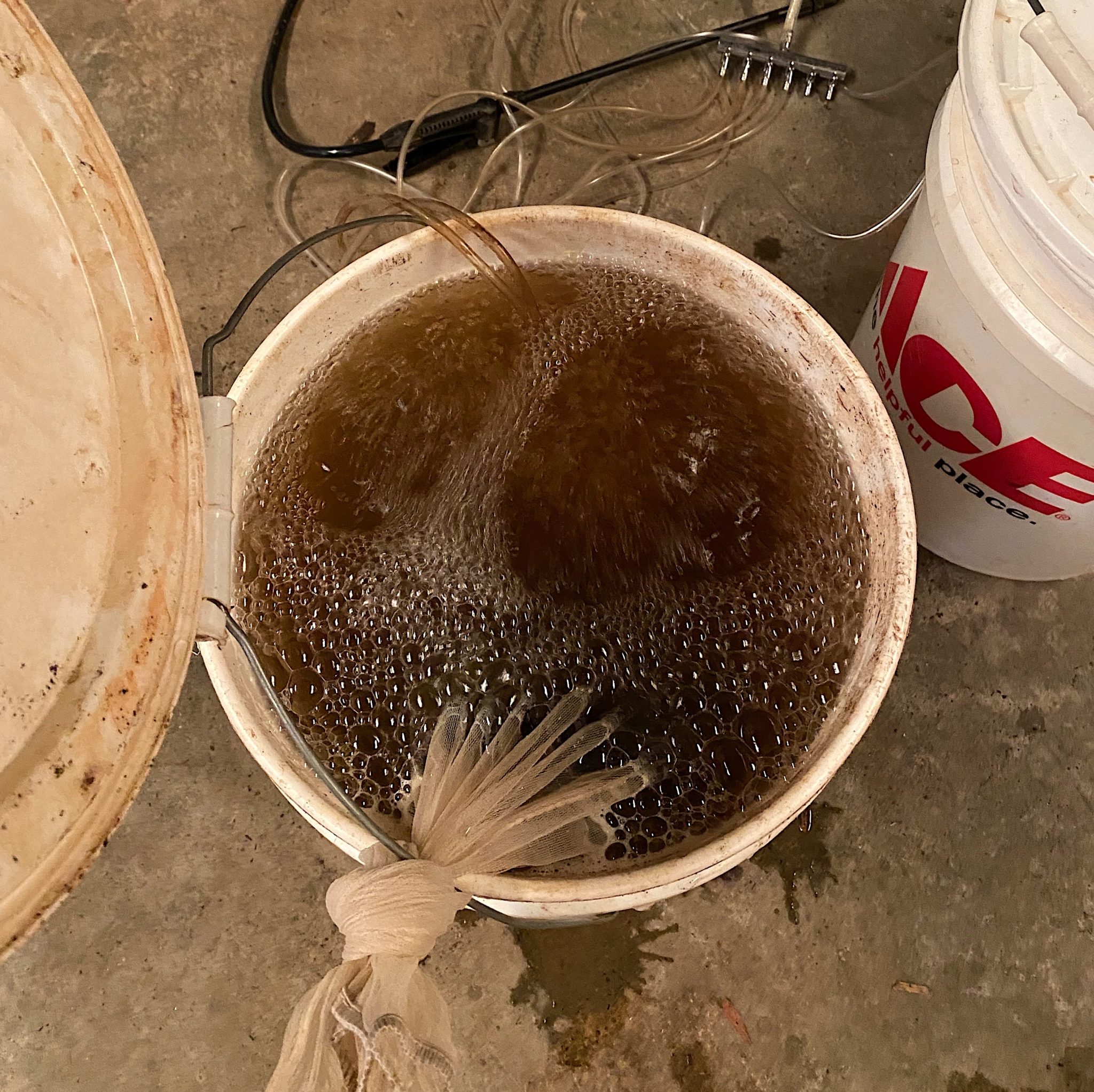 How to Make and Use Compost Tea at Home Shades of Green Blog