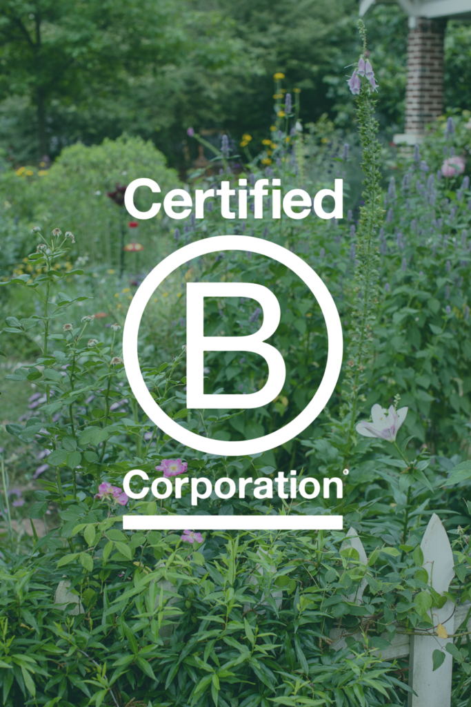 Being A B Corp + Why It Matters | Shades Of Green Blog